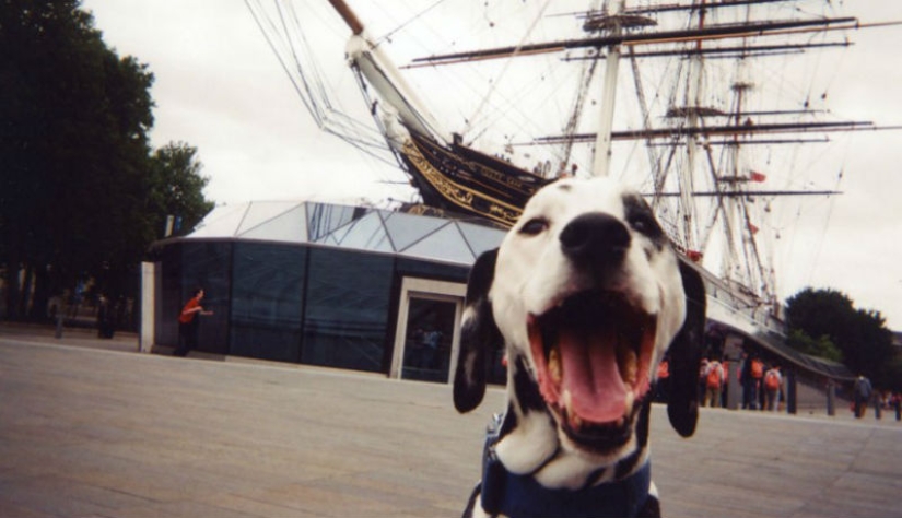 A hundred cameras were distributed to the homeless in London — the results are breathtaking!