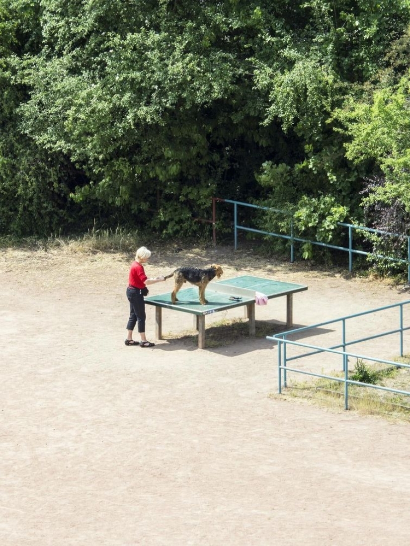 A Japanese man has been photographing a tennis table for five years, and people don't need it for ping-pong at all
