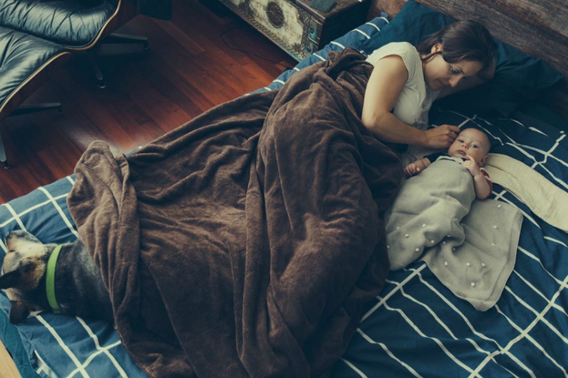 A loving husband hired 23 artists for an incredible gift to his wife