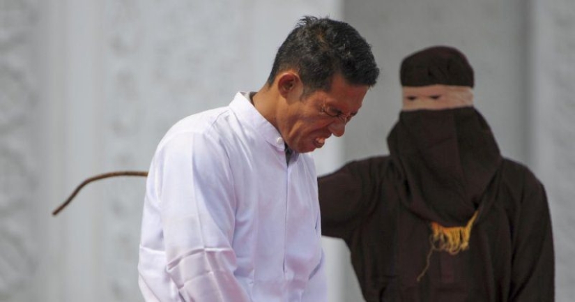 A loving legislator was beaten with a stick in accordance with his own law A loving legislator was beaten with a stick in accordance with his own law