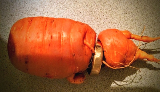 A man found an engagement ring lost three years ago on a carrot