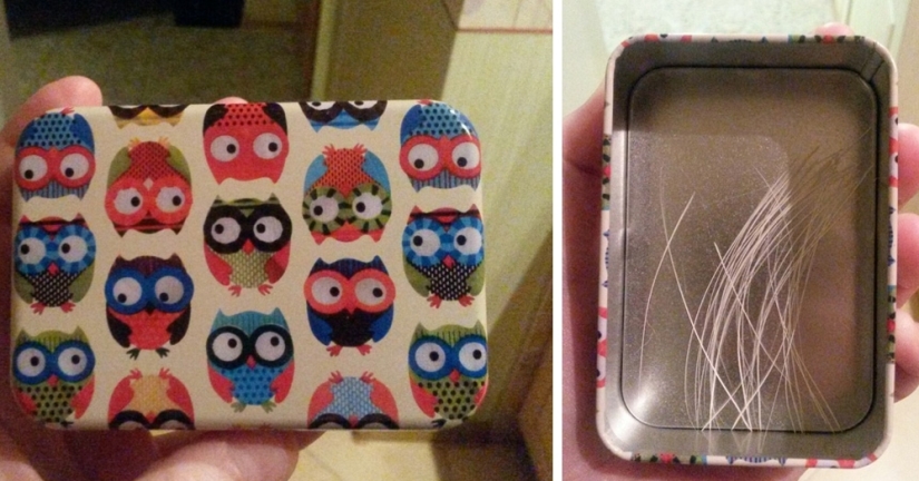 A man put up for sale cat whiskers, and a buyer with specific requests became interested in them