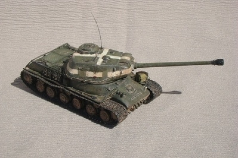 A man put up for sale cat whiskers, and a buyer with specific requests became interested in them