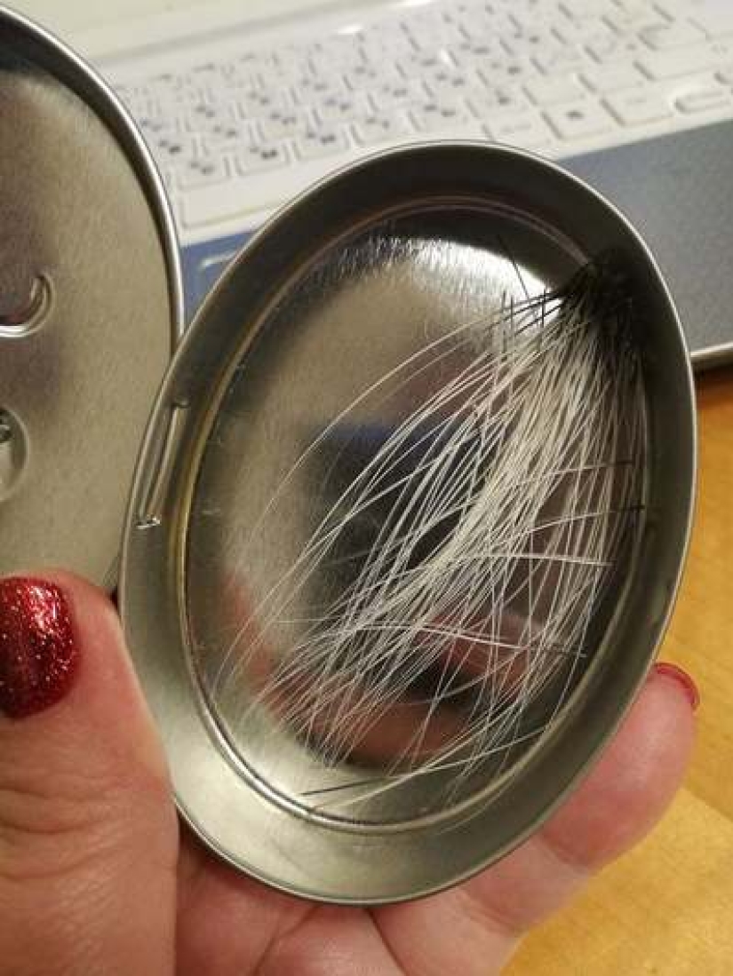 A man put up for sale cat whiskers, and a buyer with specific requests became interested in them