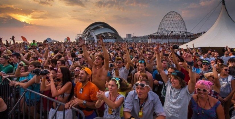 A millionaire is looking for a companion who would hang out with him at music festivals for a fee