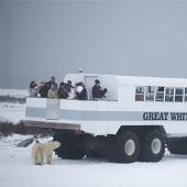 A night with polar bears: the first Arctic hotel on wheels