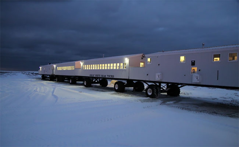 A night with polar bears: the first Arctic hotel on wheels
