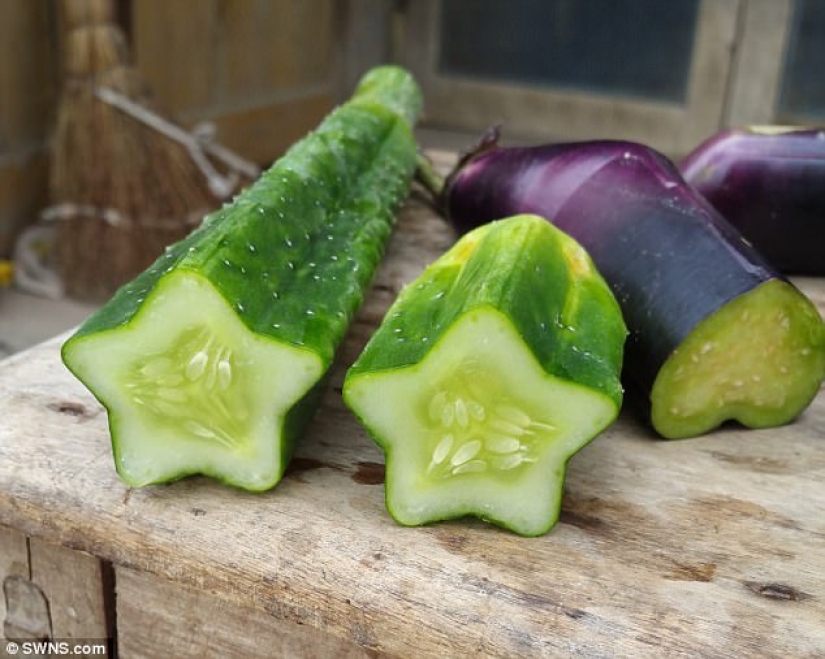 A pear in the form of a Buddha and other vegetables and fruits of bizarre shapes