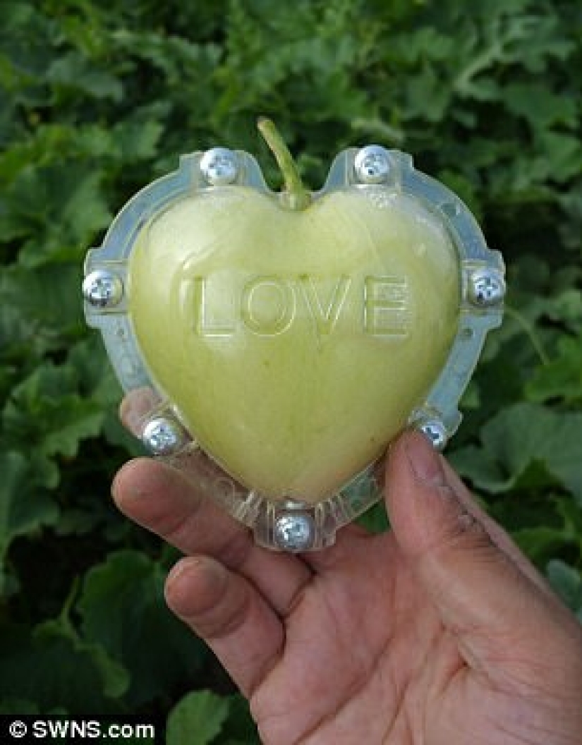 A pear in the form of a Buddha and other vegetables and fruits of bizarre shapes