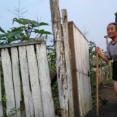 A photographer took depressing images from the lives of ordinary people in North Korea on his phone