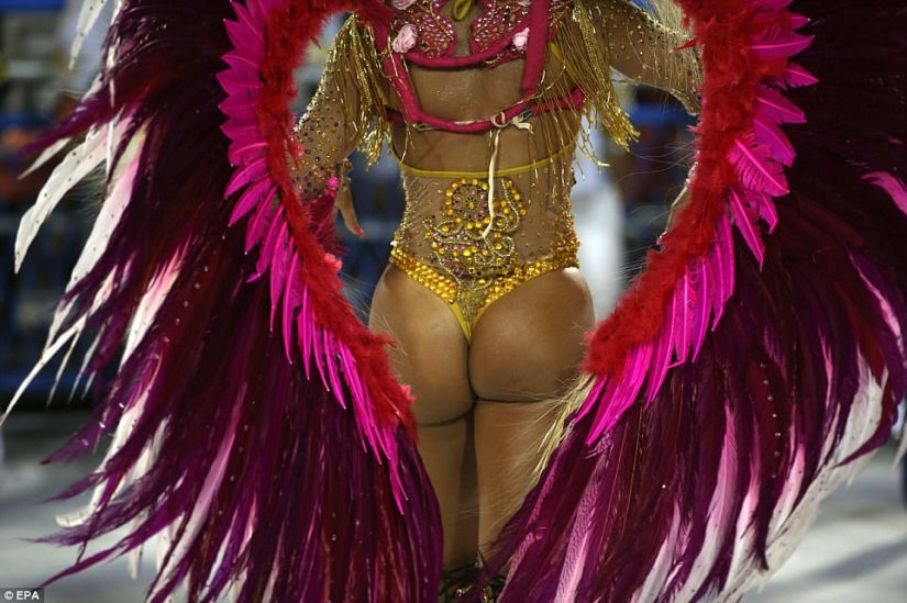 A riot of flesh, sweat and glitter: Rio de Janeiro has captured the carnival