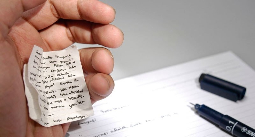 A schoolgirl who wrote the Unified State Exam for 299 out of 300 points revealed the secrets of good academic performance A schoolgirl who wrote the Unified State Exam for 299 out of 300 points revealed the secrets of good academic performance