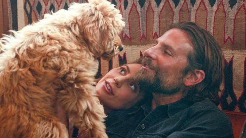 "A Star is born": 10 facts about the film that marked the beginning of the love of Bradley Cooper and Lady Gaga