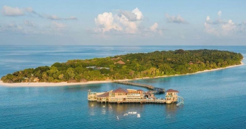 A store in the Maldives has opened a dream job with a ridiculous salary A store in the Maldives has opened a dream job with a ridiculous salary