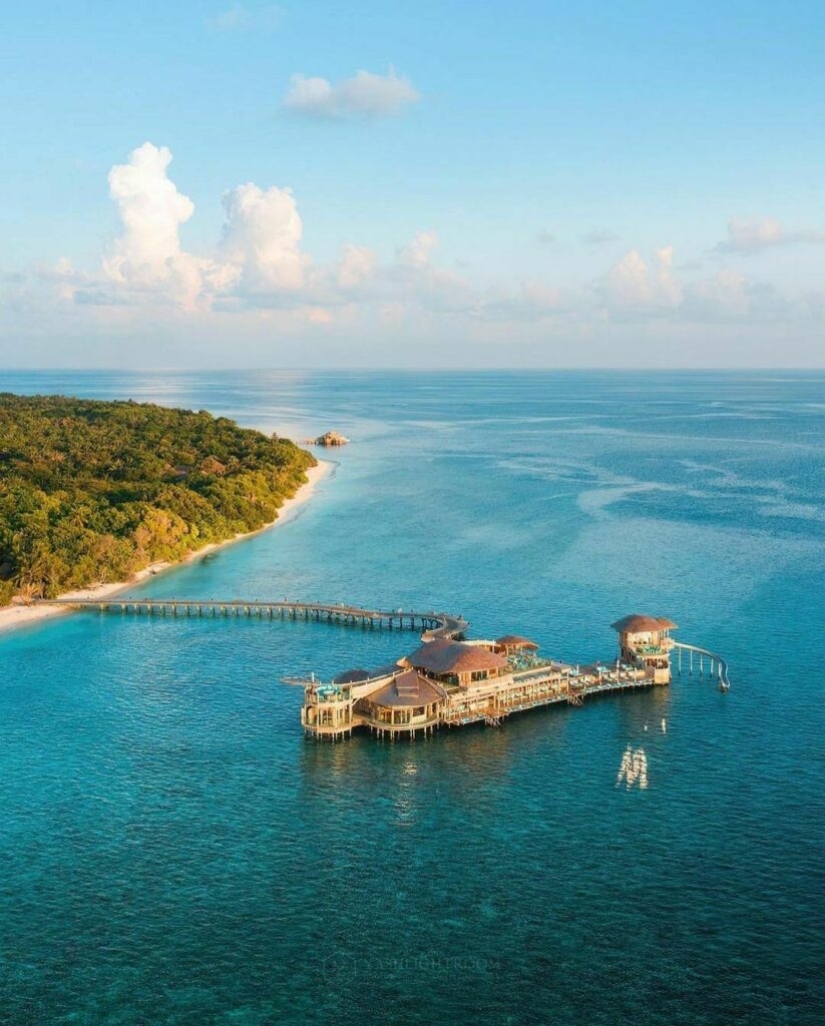 A store in the Maldives has opened a dream job with a ridiculous salary A store in the Maldives has opened a dream job with a ridiculous salary