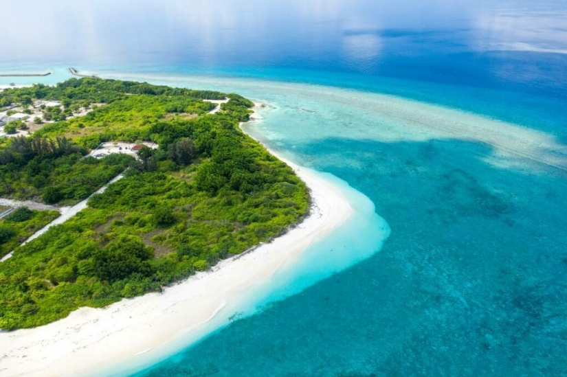 A store in the Maldives has opened a dream job with a ridiculous salary A store in the Maldives has opened a dream job with a ridiculous salary