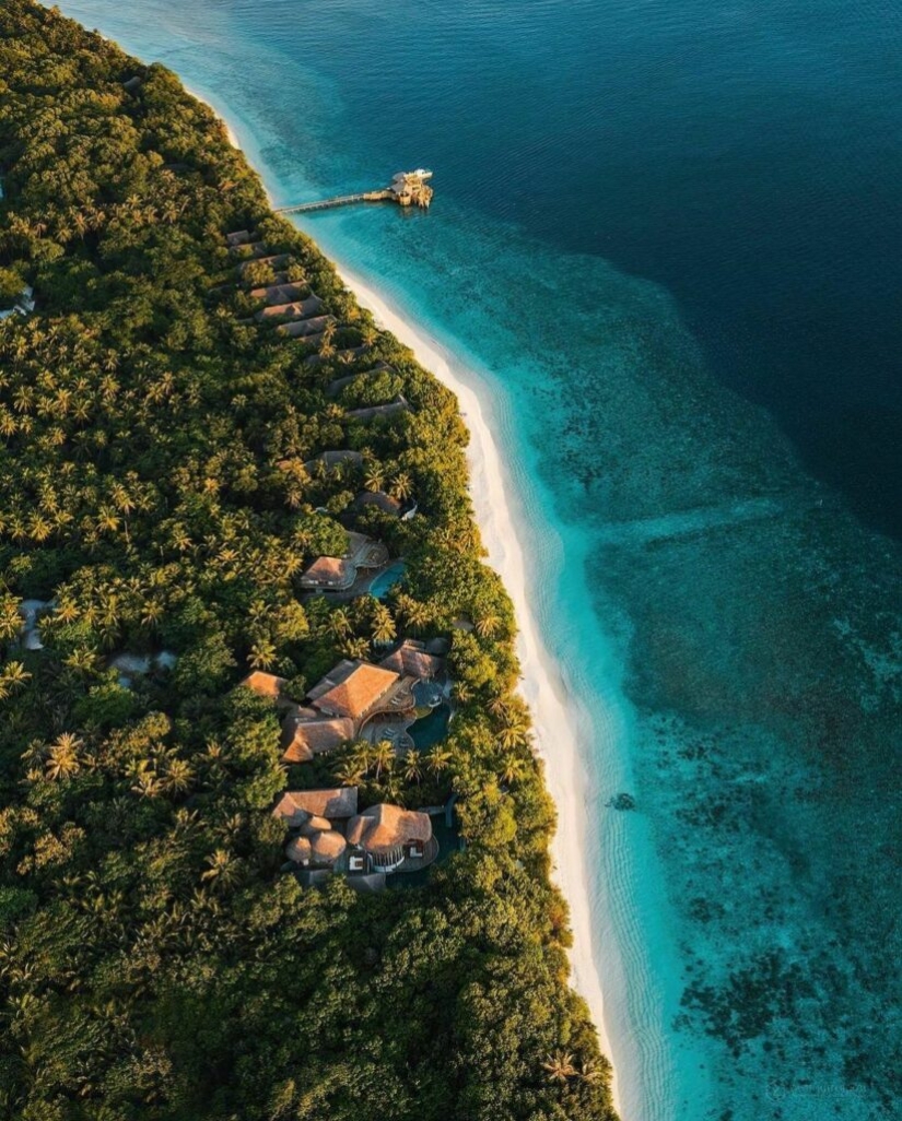 A store in the Maldives has opened a dream job with a ridiculous salary A store in the Maldives has opened a dream job with a ridiculous salary