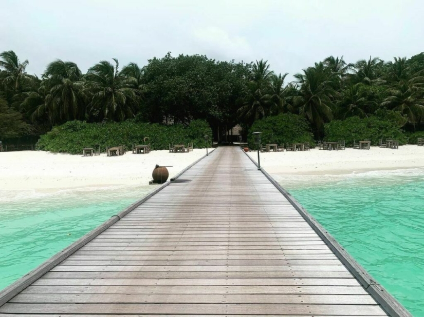 A store in the Maldives has opened a dream job with a ridiculous salary A store in the Maldives has opened a dream job with a ridiculous salary