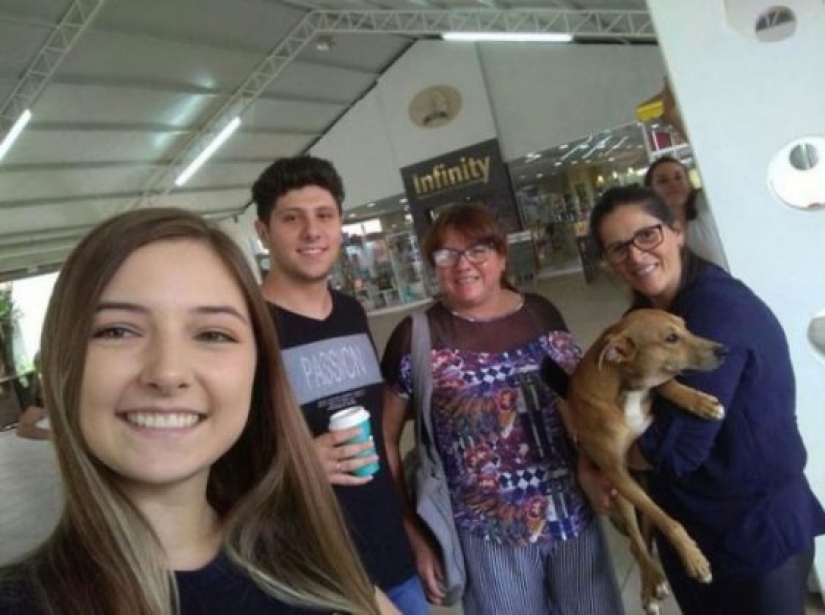 A stray dog steals a book from a bookstore and becomes a celebrity