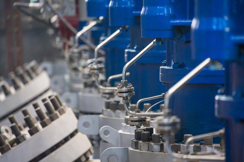 A través de espinas al oro