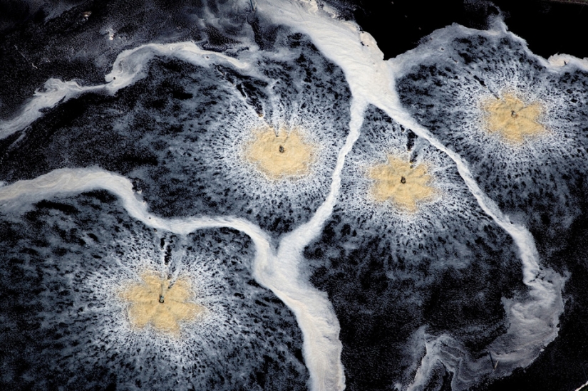 A través de los ojos de los Vikingos A través de los ojos de los Vikingos