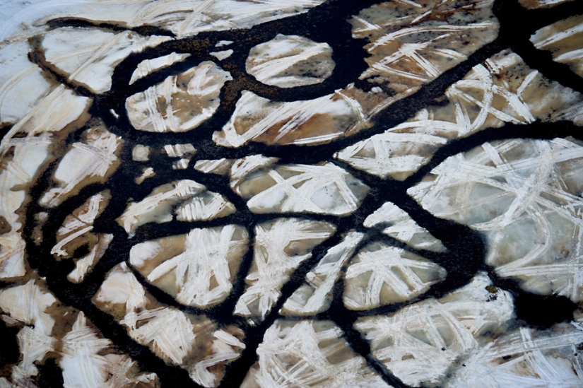 A través de los ojos de los Vikingos A través de los ojos de los Vikingos