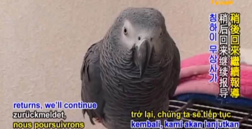 A veces vuelven A veces vuelven