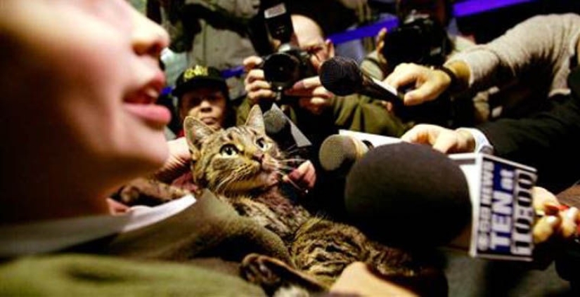 A veces vuelven A veces vuelven