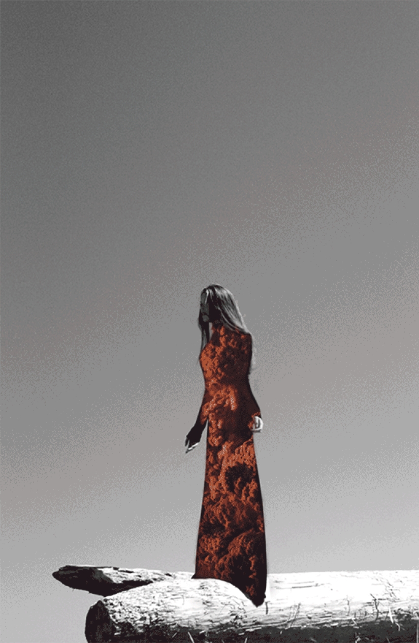 A whole sea inside: beautiful GIFs showing the richness of the microcosm