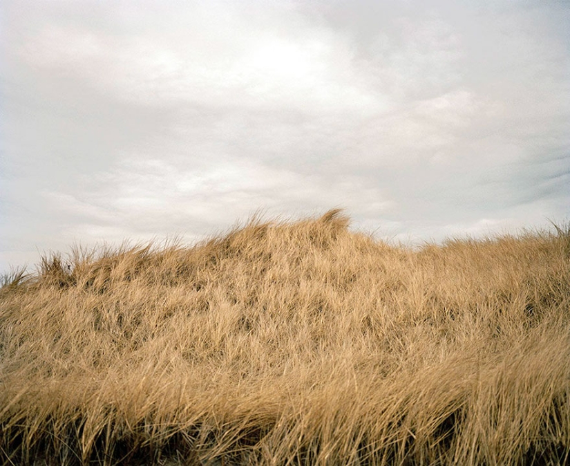 A woman told about her husband's depression in a series of poignant photos A woman told about her husband's depression in a series of poignant photos