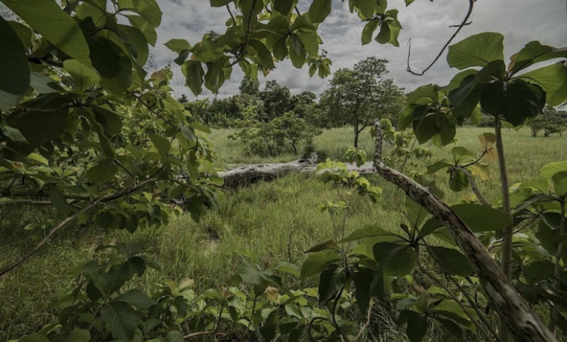 Accidentes de avión que terminaron en un final feliz