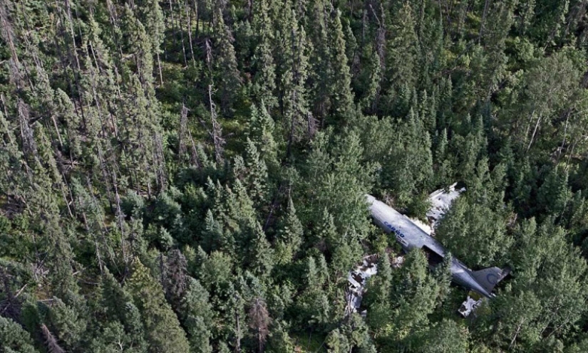Accidentes de avión que terminaron en un final feliz