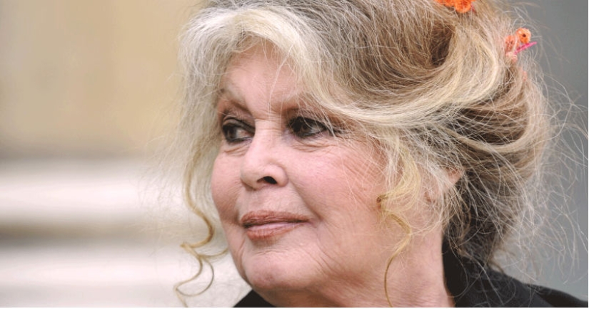 "Actresses tease producers themselves": Brigitte Bardot spoke about harassment