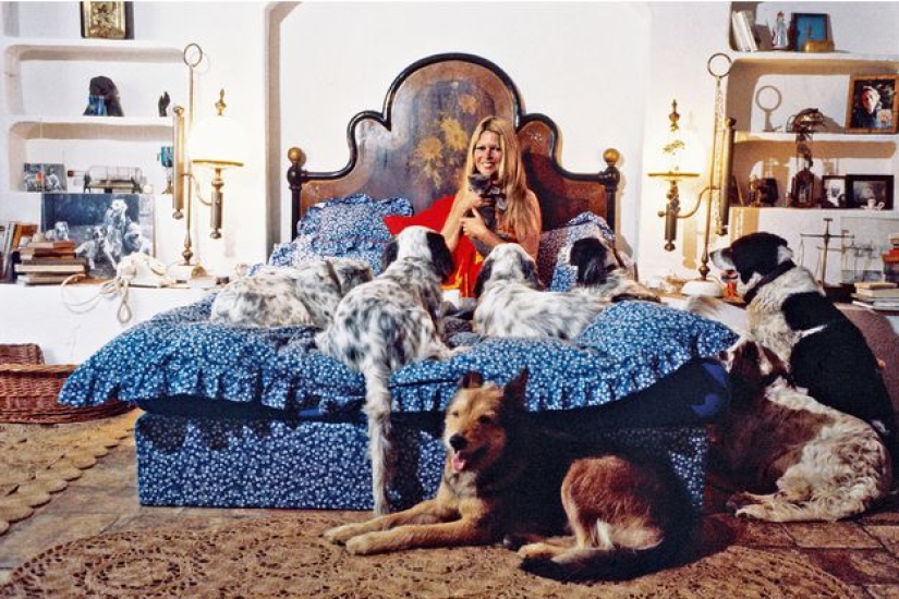 "Actresses tease producers themselves": Brigitte Bardot spoke about harassment