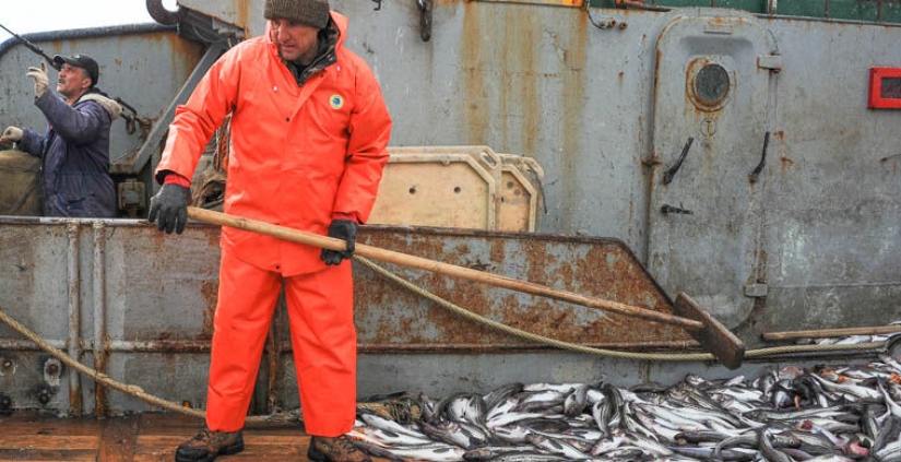 Adventures of foreigners in Russia Adventures of foreigners in Russia