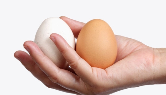 Afeitarse o no afeitarse — esa es la pregunta: el anuncio, en el que protagonizaron las chicas con bigotes, agitó la red