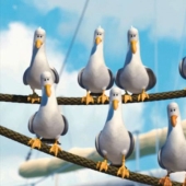 After 17 years, the hotel forgave the guest in whose room the voracious seagulls staged a pogrom