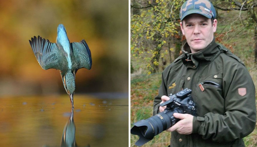After 6 years and 720 thousand attempts, the photographer took the perfect picture of the kingfisher