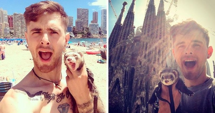 After the tragic death of loved ones, the guy sold everything to travel the world with a ferret After the tragic death of loved ones, the guy sold everything to travel the world with a ferret
