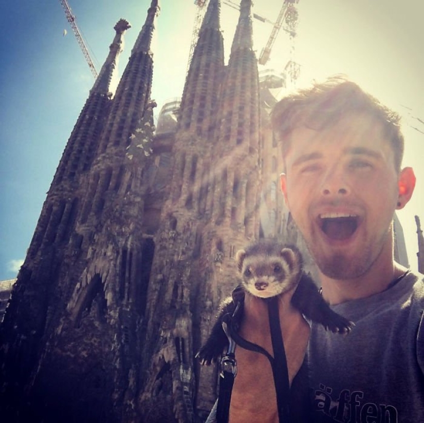 After the tragic death of loved ones, the guy sold everything to travel the world with a ferret After the tragic death of loved ones, the guy sold everything to travel the world with a ferret