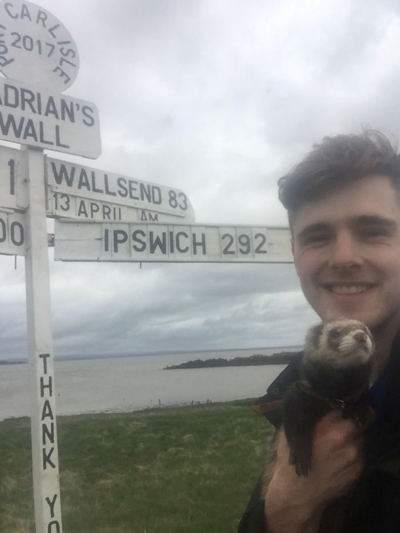 After the tragic death of loved ones, the guy sold everything to travel the world with a ferret After the tragic death of loved ones, the guy sold everything to travel the world with a ferret