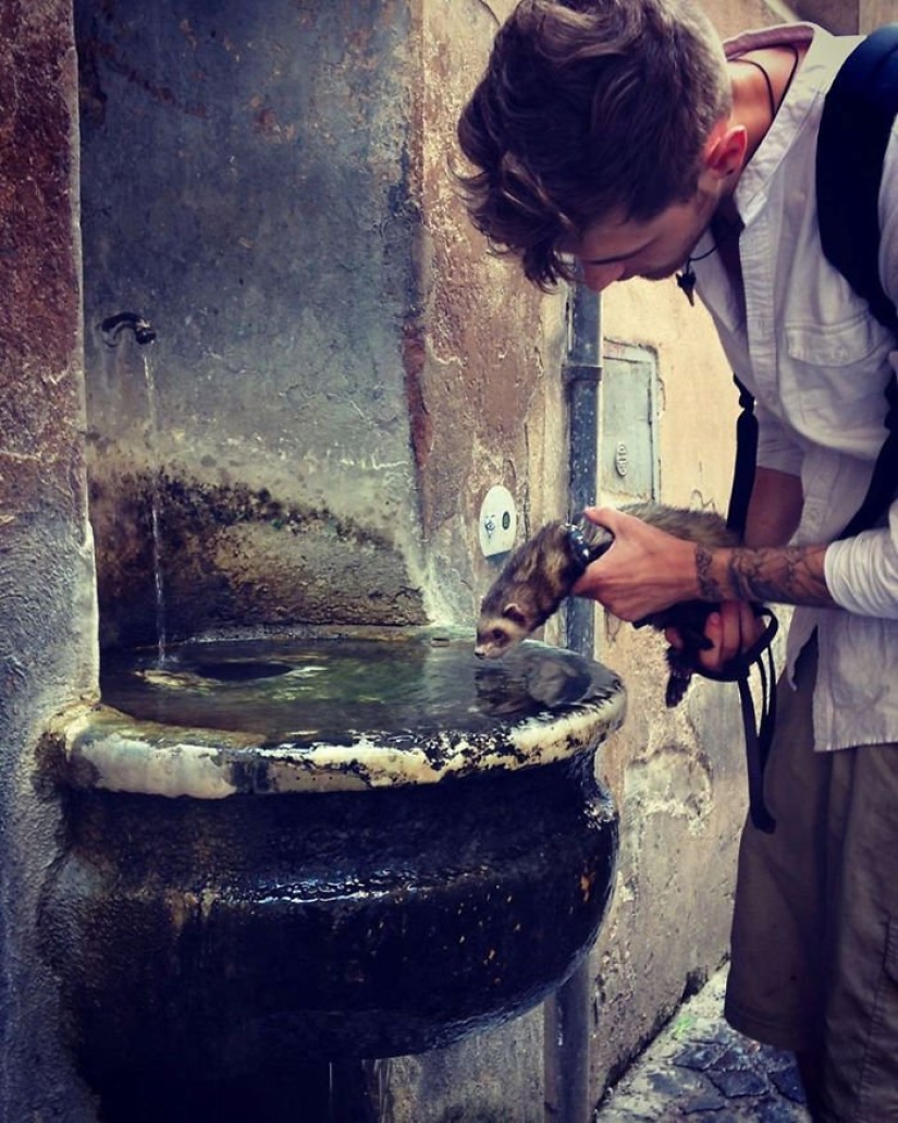After the tragic death of loved ones, the guy sold everything to travel the world with a ferret After the tragic death of loved ones, the guy sold everything to travel the world with a ferret