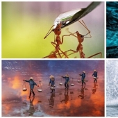 Agua fascinante :Las 50 mejores obras del concurso fotográfico Ágora # Water2020