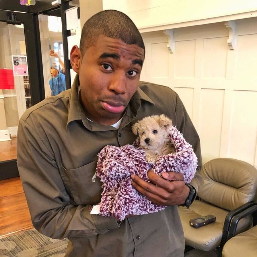 Al mensajero le encanta su trabajo. Todo porque se le permite apretar los perros de otras personas Al mensajero le encanta su trabajo. Todo porque se le permite apretar los perros de otras personas