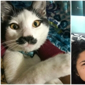 Alberto, el gato con un "bigote" inusual, roba los corazones de los gatitos mexicanos