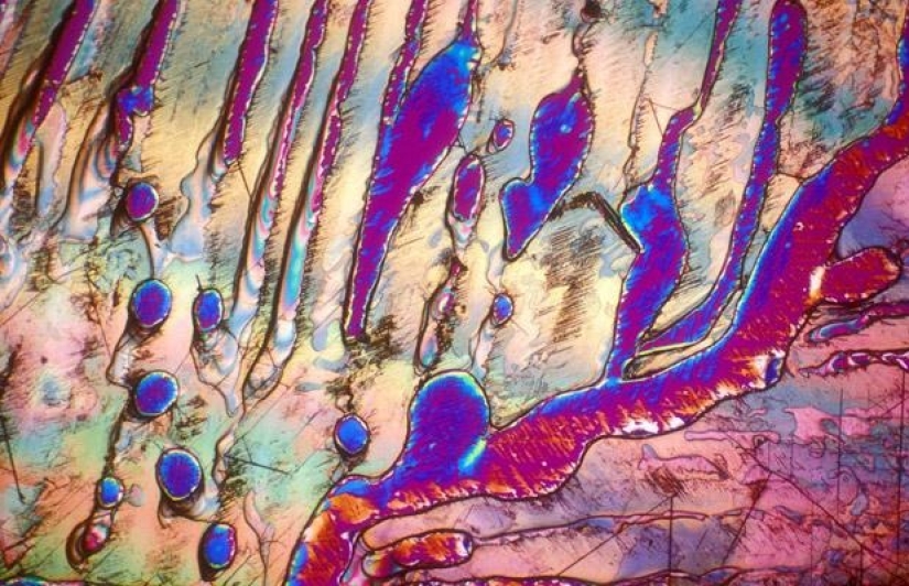 Alcohol bajo el microscopio Alcohol bajo el microscopio