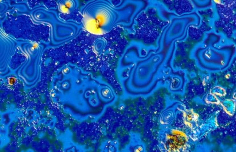 Alcohol under the microscope