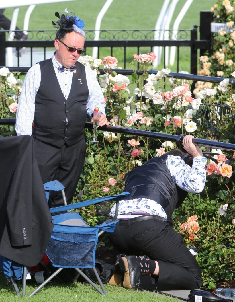 Alcoholic Race: Drunken collapse at the annual Melbourne Horse Race