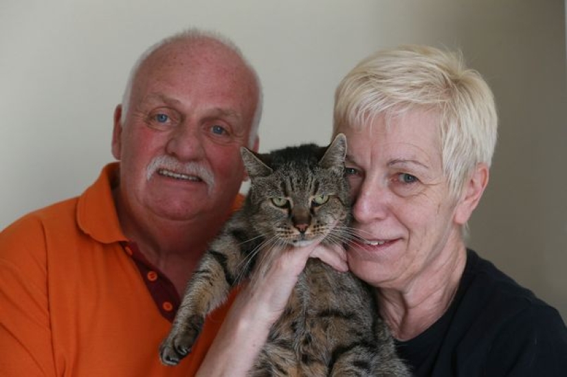 All 9 lives lived: the oldest cat on the planet died at the age of 32