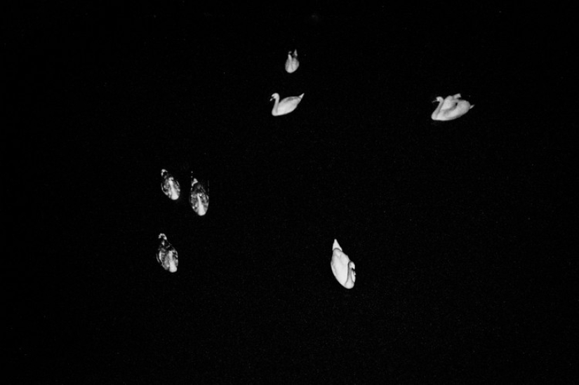 "All cats are grey": Night Berlin in the lens of Christian Reister